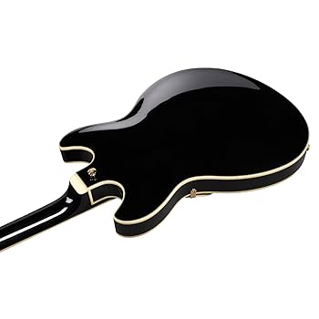 Amazon.com: Ibanez AS93SP Artcore Expressionist 6-String